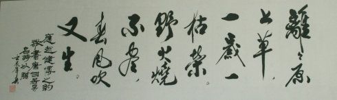 民间书法名家杨义蔼作品欣赏