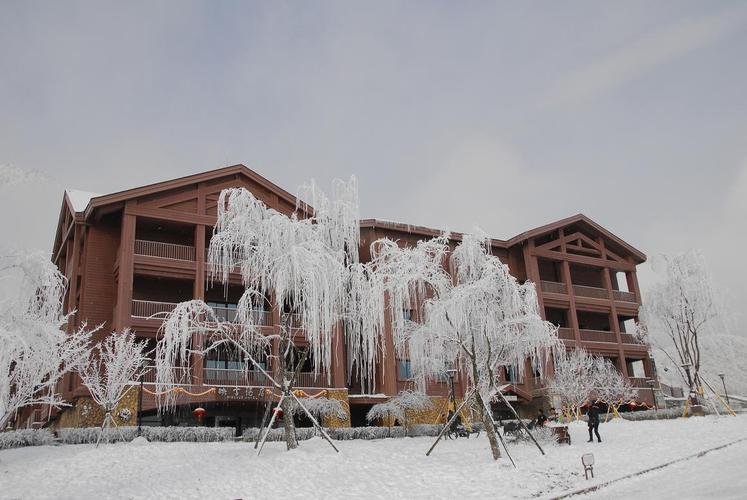 西岭雪山映雪酒店 353起立即预订&gt