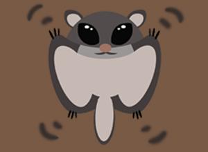 蠢萌小飞鼠简笔画