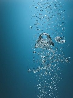 (2/10) | | 提示:支持键盘翻页 ←左 右→ 杯水情歌手机壁纸 240*320