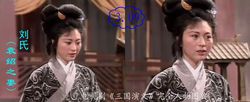 刘夫人(袁绍妻子)