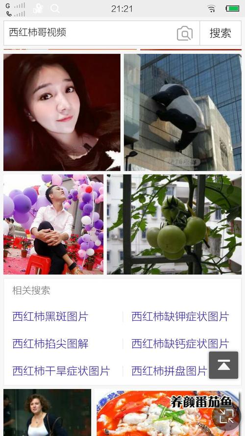 mc鹏哥