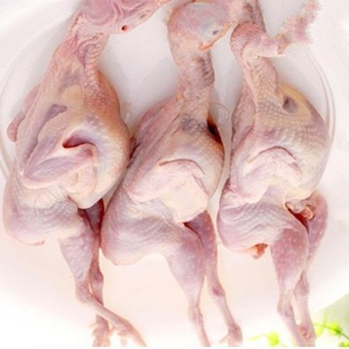 [清风雅厨] 只起售新鲜鹌鹑肉农家冷冻现杀鹌鹑鸟肉小鸟肉生肉制品