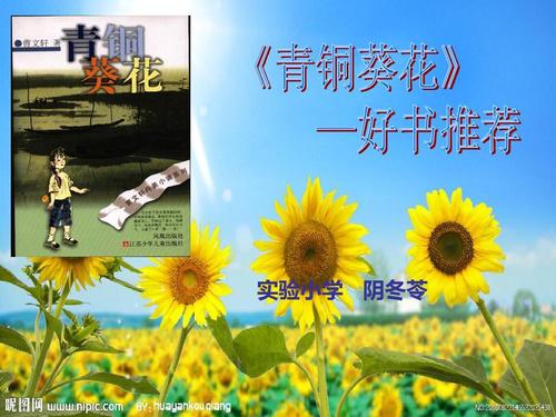 青铜葵花课件ppt