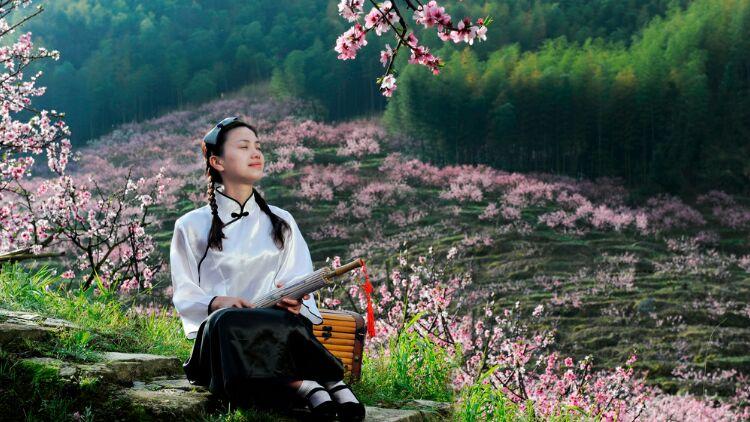梦入桃花源