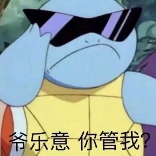 杰尼龟表情包,去吧,神奇宝贝