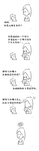 你如何回答孩子:我从哪里来?