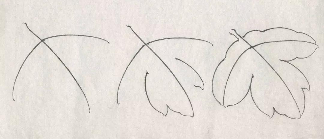 工笔画牡丹花房,花蕊,叶子,枝干的画法及设色