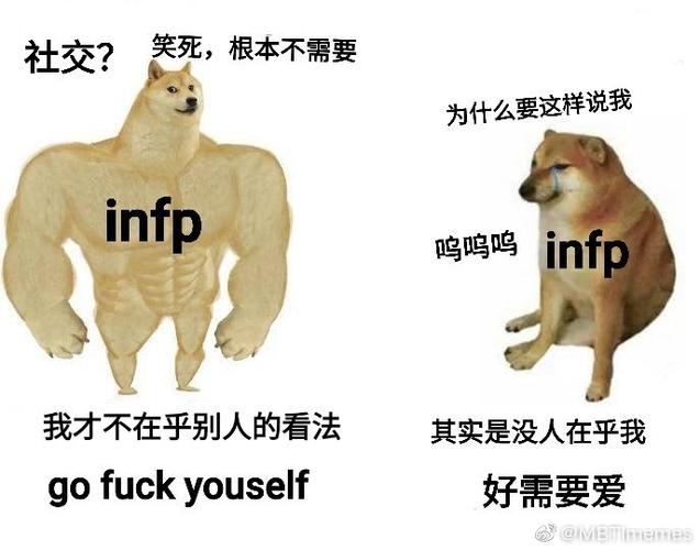 救命我好像不小心把一个infp妹妹整破防了梗图误我