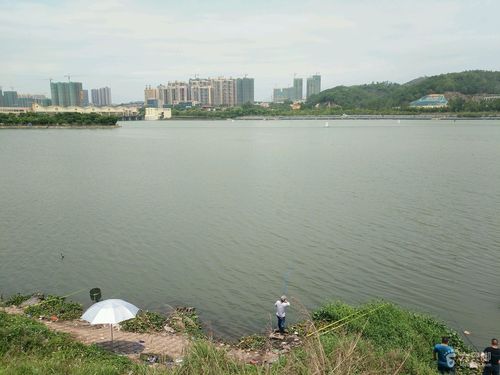 合生大桥,博罗东江大桥环线游10_脚印_惠州市区_六只脚