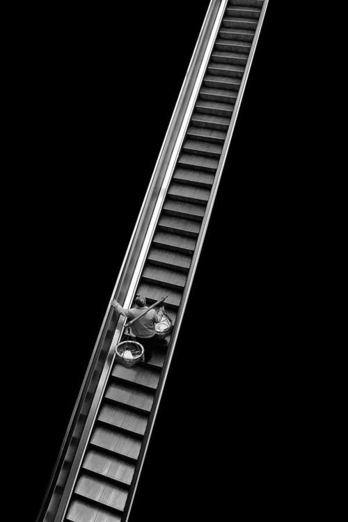 摄影从手机开始07理解摄影构图