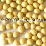 垦农23号(垦豆3)超高产优质品种大豆种子及简介价格