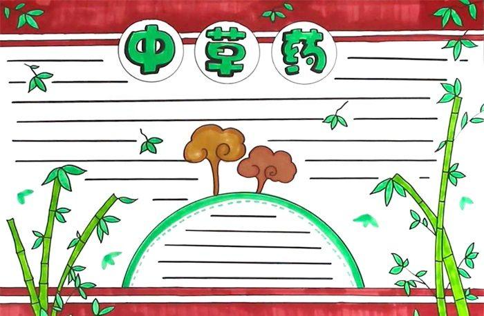 中草药手抄报怎么画