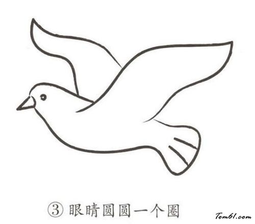 鸽子10图片_学习简笔画_少儿图库_中国儿童资源网