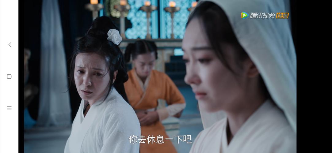陈情令 胡小庭~金夫人