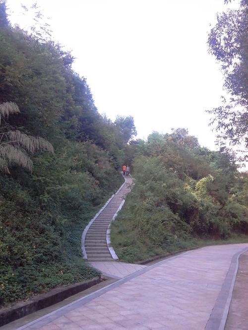 凤凰山绿道 - 家在深圳-房网论坛