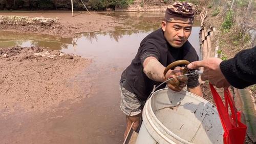 拐哥打野直播 - 西瓜视频