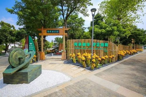 中草药植物科普展开幕园博苑带您识百草约不