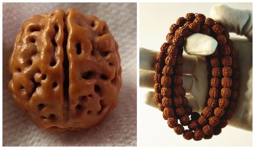 小金刚菩提各品种,纹路,价格分类大盘点,2020年最新,纯干货