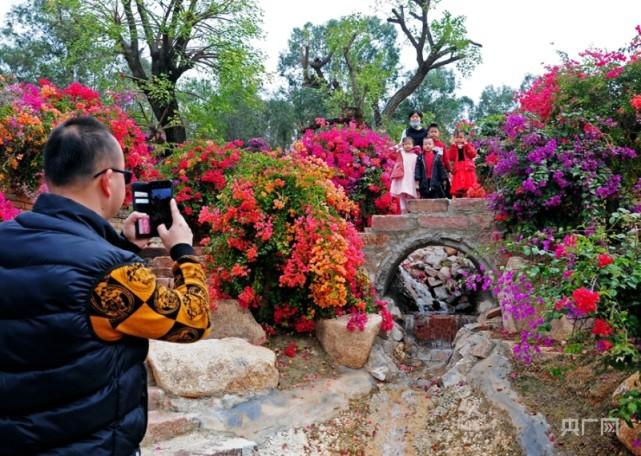 据了解,马岭观花植物园位于广州花都北部生态文旅带核心区,是广东省