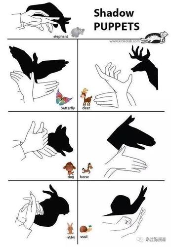 1206日更227影子孔雀