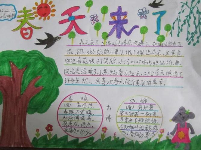 春天的手抄报