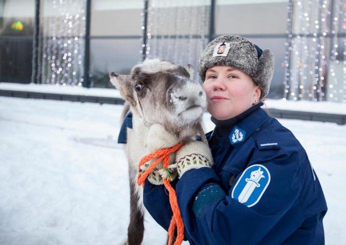 芬兰的萌警察和萌坐骑