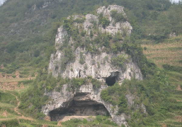 对坡镇