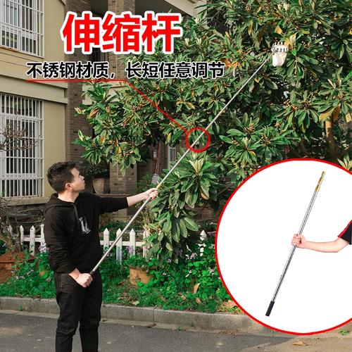 高空伸缩杆采摘器摘果神器杨梅手枇杷石榴柿子桃抓爬叉摘水果工具