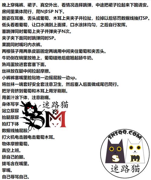 字母圈里最安全的且可真正实行的轻度网调方法大全