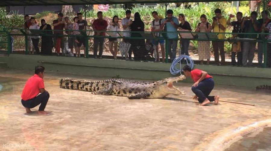 兰卡威鳄鱼公园门票