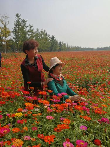 2018年10月24号金秋有趣人生群活动,去宛山荡湿地公园看花海!