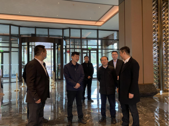 市发改委主任贲黄文带队到雁山区检查自治区重大项目