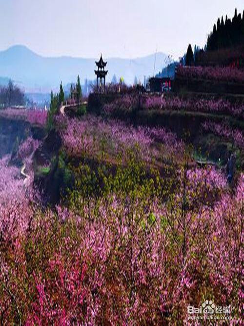 山东肥城旅游攻略