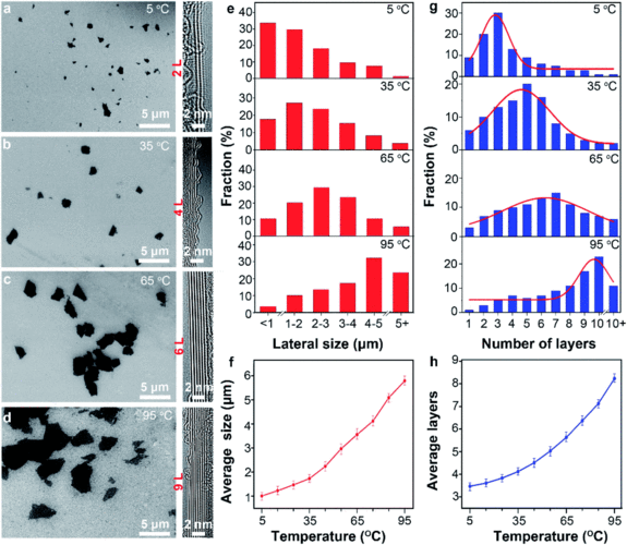 coordinating capillary infiltration with anodic oxidation: a