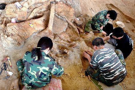 点击此处查看全部新闻图片   考古队员正在"大棚"内进行恐龙化石挖掘