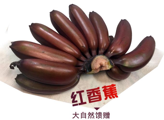 红皮香蕉banana广东高州新鲜美人蕉 红香蕉水果火龙蕉5斤包邮