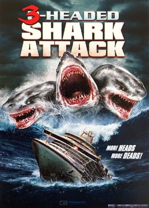 《夺命三头鲨》(3 headed shark attack)是由克里斯托弗·雷执导