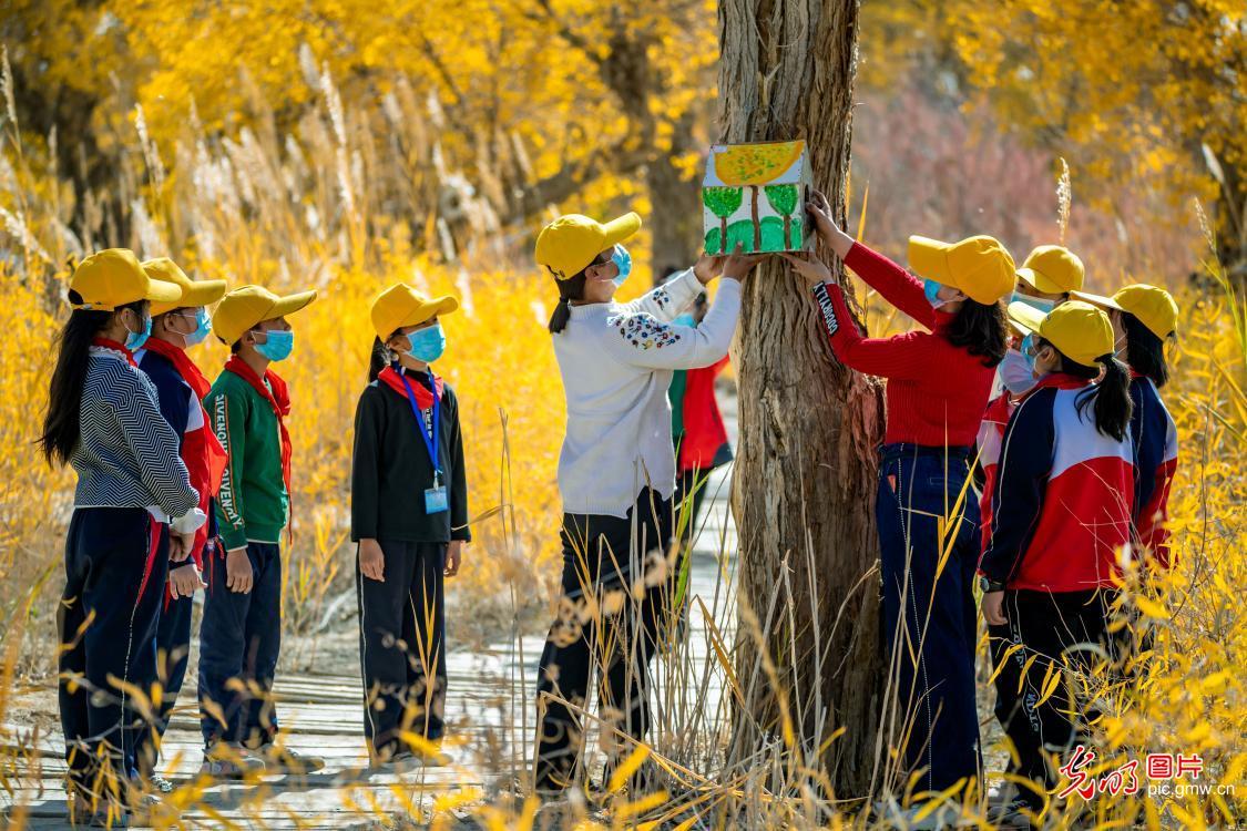 新疆尉犁生态研学进景区