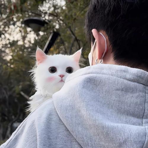 高冷男生头像季节交换好多人忘记好多人