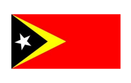 东帝汶国旗