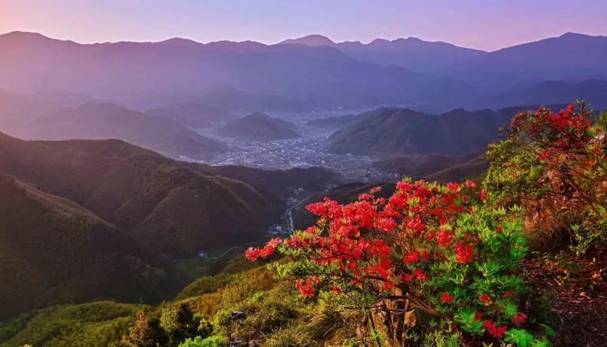 黄浦江源龙王山景区