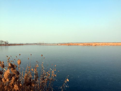 云鹤慢游地 浩渺郊野水丨看淮北朔西湖郊野公园如何升级转型