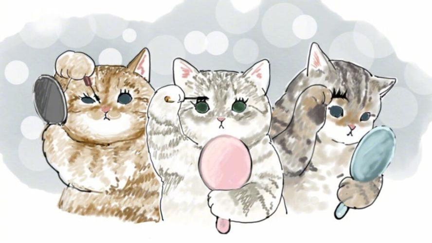 猫咪- 堆糖,美图壁纸兴趣社区