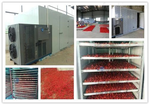 小型家用辣椒热泵烘干机