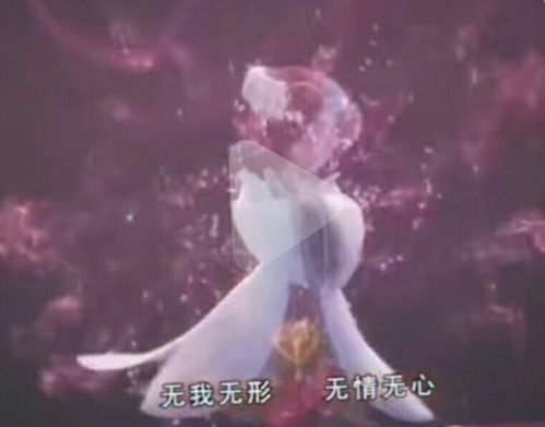 我和妹妹穿越到了星学院