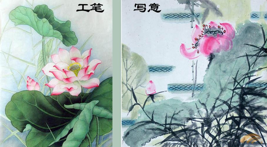 急需一幅国画荷花底稿,请配图