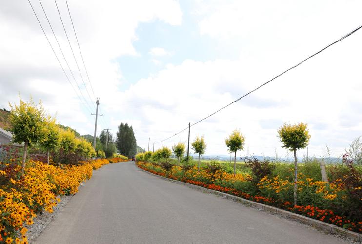 桦甸市乡村绿化