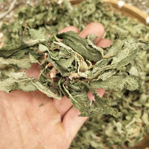 伟博干品蛤蟆草晒干整棵干荔枝草癞蛤蟆草蟾蜍草青蛙草雪见草500g