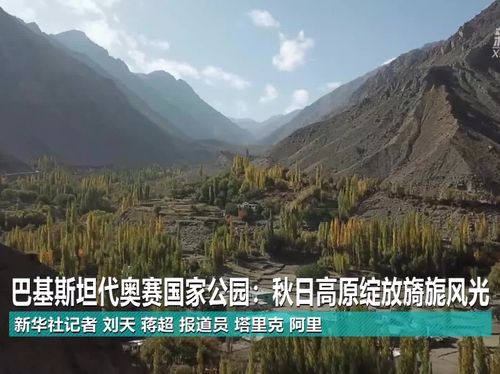巴基斯坦代奥赛国家公园:秋日高原绽放旖旎风光